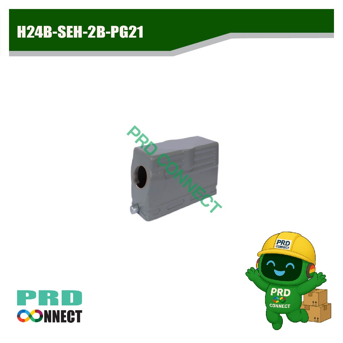 H24B-SEH-2B-PG21