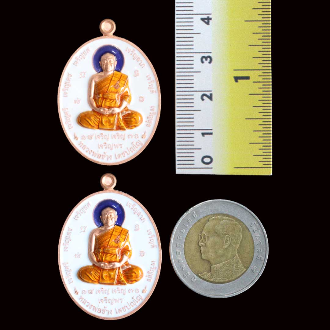เหรียญสารพัดเจริญ หลวงพ่อช้าง วัดจุกเฌอ ปี66 เนื้อทองแดงลงยาขาว เลข253