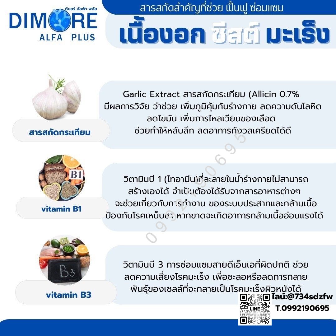 ชุดทดลอง ดิมอร์ อัลฟ่า พลัส Dimore Alfa Plus ลดอักเสบ ลดปวด สลายก้อนเนื้อ เนื้องอก ฝ่อ ป้องกันมะเร็ง โรคไต ไตเสื่อม ไตวาย ปวดหลัง ปวดเอว (10 แคปซูล)