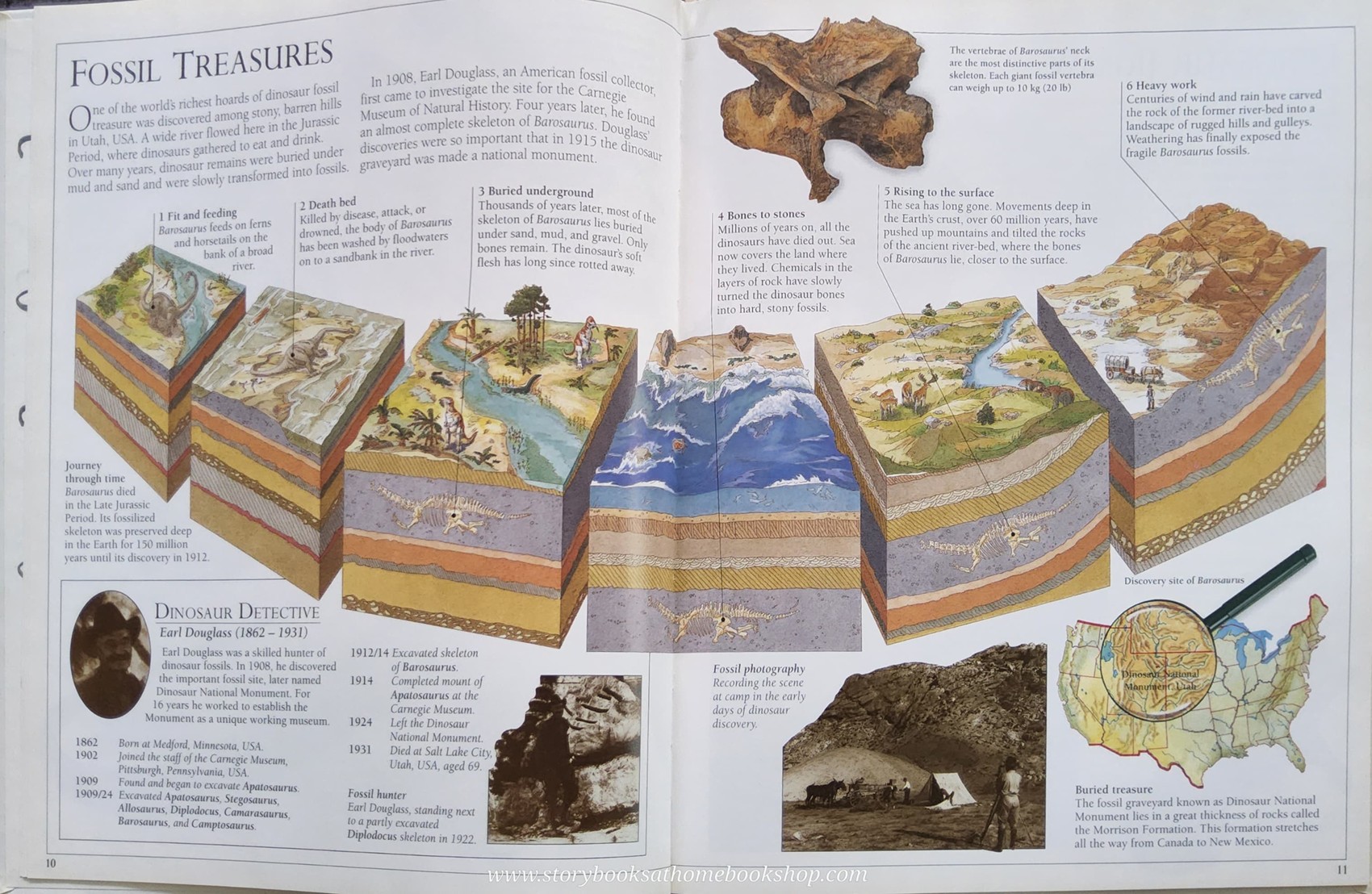 KNOWLEDGE BOOK** ♥️THE NATURAL HISTORY MUSUEM BAROSAURUS