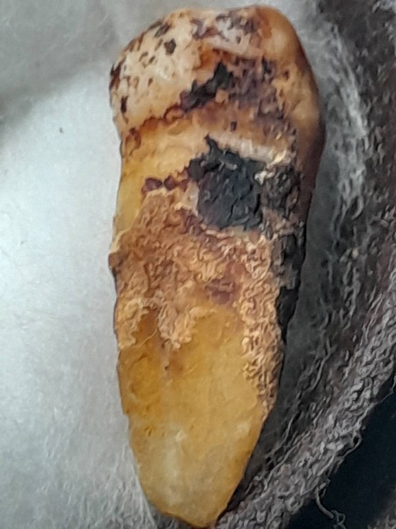 พระทันตธาตุครูบาอิ่นแก้ว วัดป่าถ่อน อ.แม่สรวย จ.เชียงราย ได้มาจากคุณลุงสมหมาย อดีตตำรวจ อ.แม่สรวย คุณลุงสมหมายเป็นญาติหรือหลานครูบาอิ่นแก้ว คุณลุงสมหมายอายุ 62 ปี ยังมีชีวิตอยู่ ได้รับพระทันตธาตุครูบาอิ่นแก้วนี้เมื่อ พ.ศ. 2547 ตอนที่ท่านอายุ 42 ปี