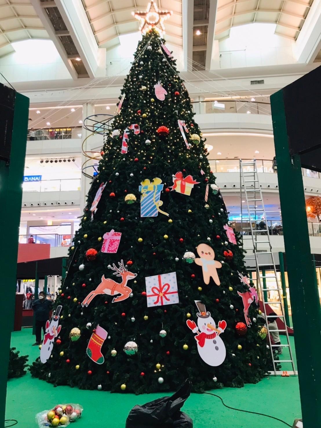 ให้เช่าต้นคริสต์มาสปลอมสีสันของงานเลี้ยงวันคริสต์มาสยอดนิยม เช่าประดับคริสต์มาสตกแต่งงานเลี้ยง