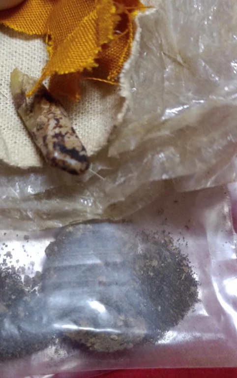 พระทันตธาตุครูบาเมือง วัดท่าแหน จ.ลำปาง พระทันตธาตุ ครูบาเมืององค์นี้ได้มาจากคุณลุงประเสริฐ อายุ 82 ปี ปัจจุบันยังมีชีวิตอยู่ (พ.ศ.2567) คุณลุงประเสริฐท่านเคยเป็นครูสอนในจังหวัดลำปาง ท่านสอนและย้ายโรงเรียน หลายที่ในจังหวัดลำปาง