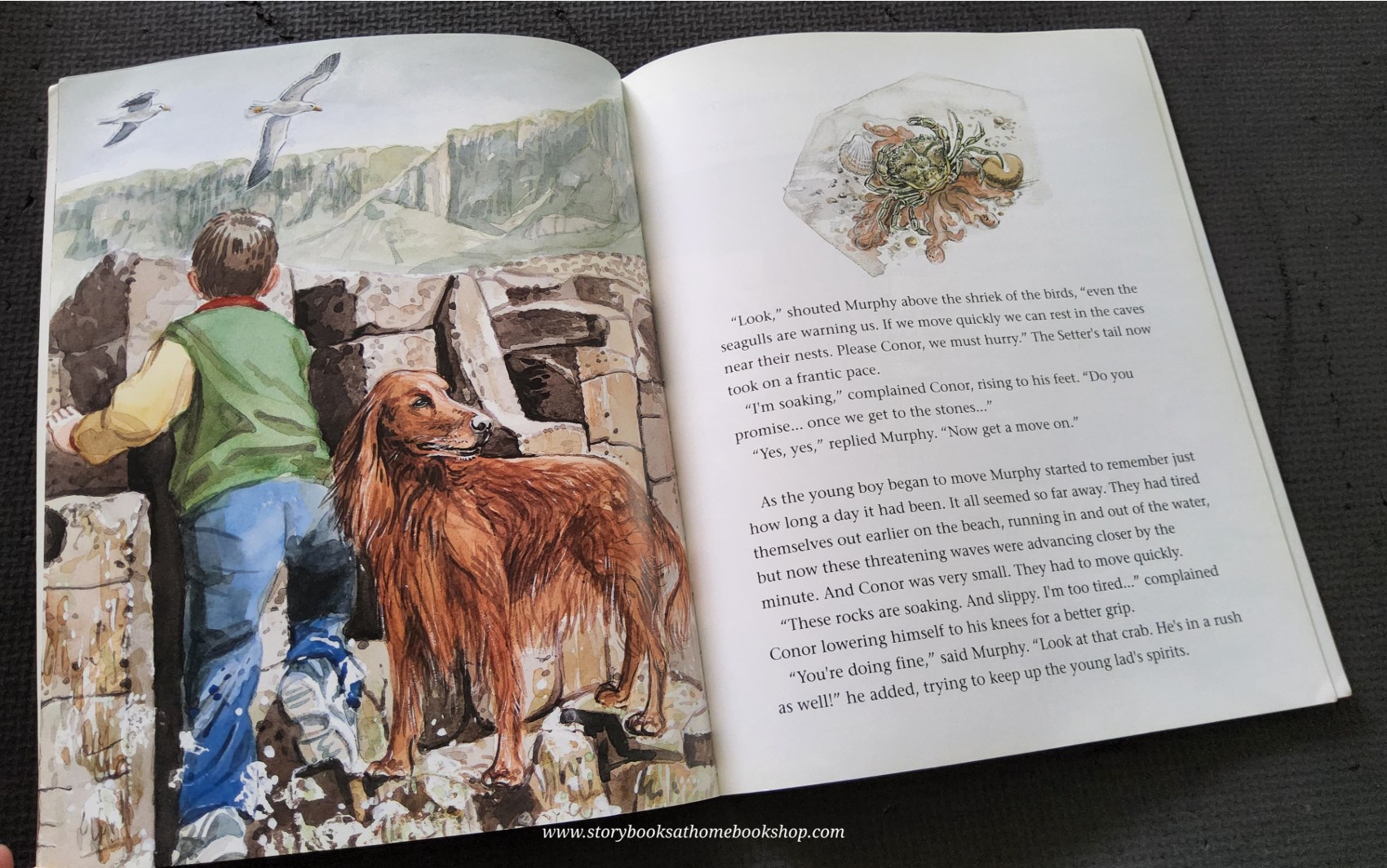 หนังสือนิทานปกอ่อน** ♥️A DAY TO REMEMBER AT THE GIANT'S CAUSEWAY