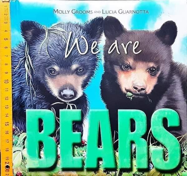 BOARD BOOK** 🍅🍓WE ARE BEARS