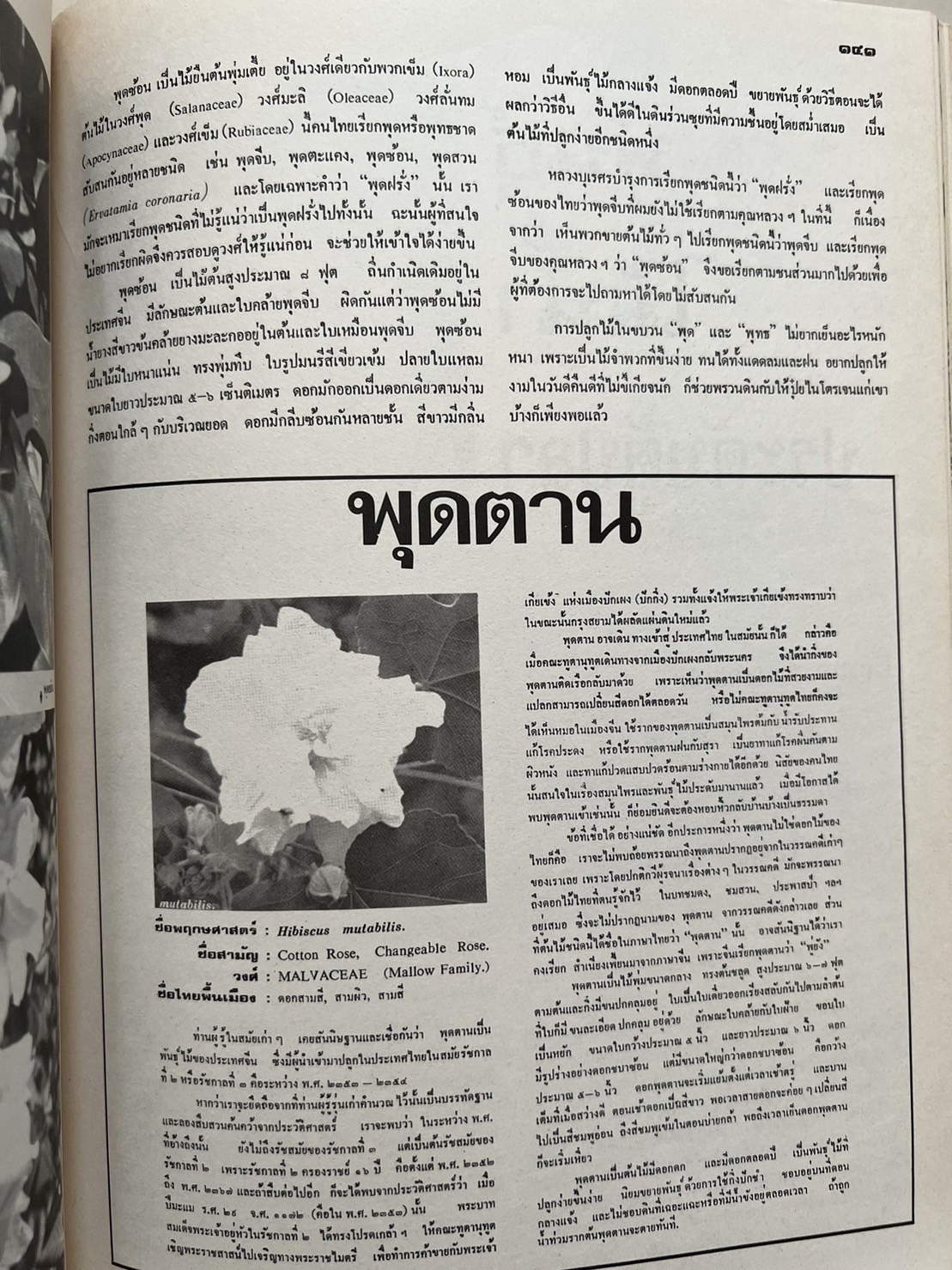 ธรรมชาติศึกษา : ฉบับแนะนำไม้ใบ-ไม้ประดับของไทยและเทศ (ชุดที่ 1 เล่มที่ 2 ลำดับที่ 2 ปี 2521).