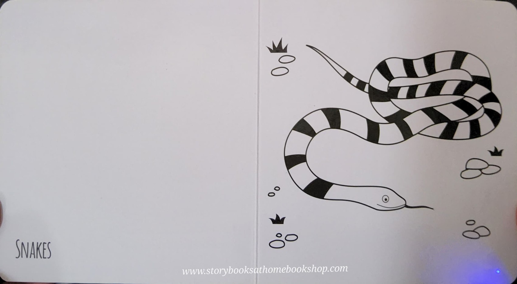 BOARD BOOK** 🍅🍅EXTRAORDINARY ANIMALS FROM THE LAND OF OZ BY RUTH BRADFORD