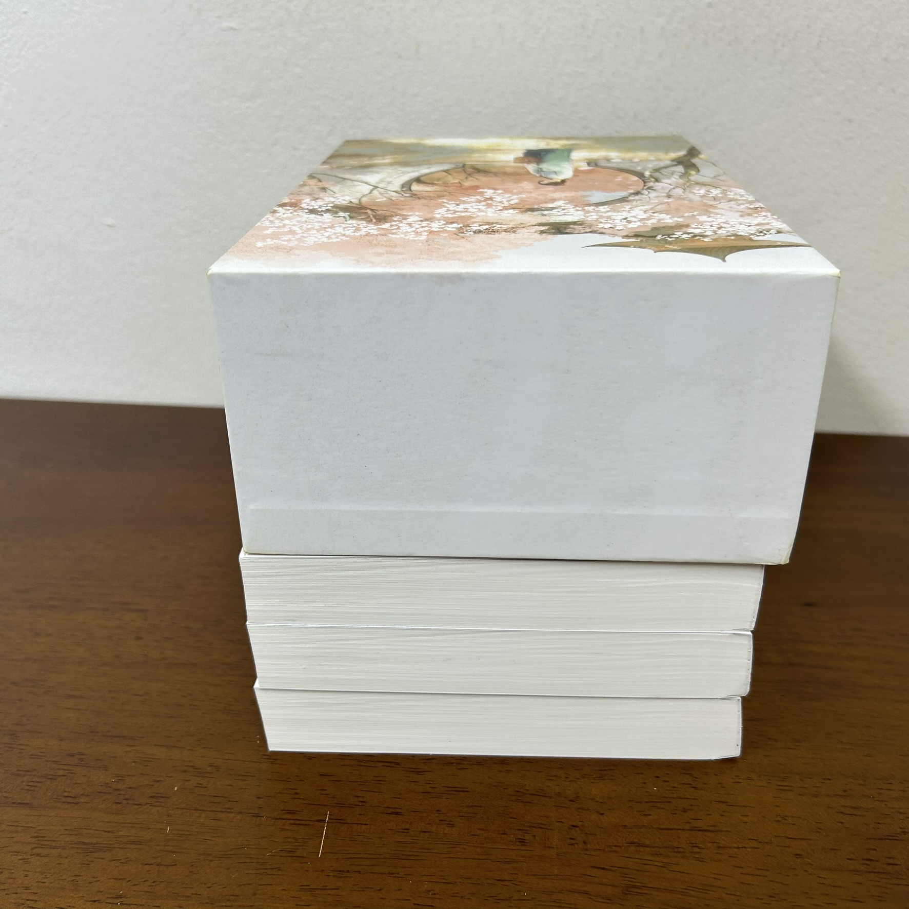 BOXSET สาวรับใช้ยอดดวงใจ เล่ม 1-3 จบ ... ชางเว่ยเซียวเซียว (มือสอง) แปลจีน นิยาย นิยายรัก หอมหมื่นลี้