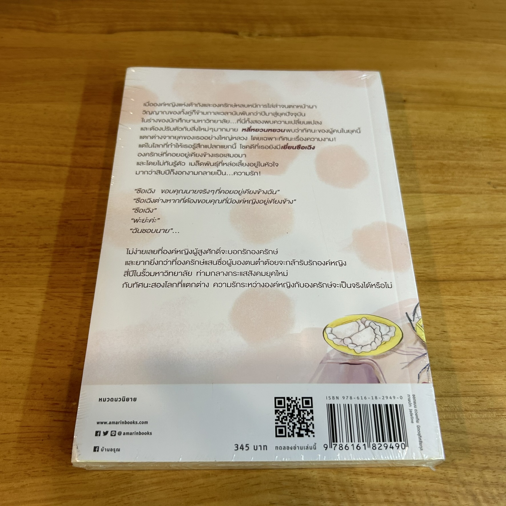 เป็นเช่นข้าสิ...คืองาม ... จิ่วลู่เฟยเซียง Jiu Lu Fei Xiang (มือหนึ่ง) นิยายรัก โรแมนติก แปลจีน