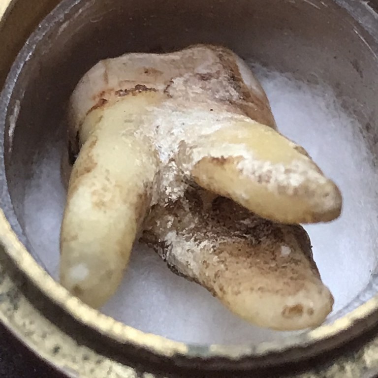 พระทันตธาตุครูบาคำ สังวโร วัดศรีดอนตัน ต.มะเขือแจ้ อ.เมือง จ.ลำพูน ชุดนี้ได้มาจาก พระชัย อายุ 42 ปี เคยอยู่กับ และรับใช้ครูบาคำ ตอนนี้ (พ.ศ.2566) พระชัยจำพรรษาอยู่วัดแม่สารป่าขาม อ.เมือง จ.ลำพูน