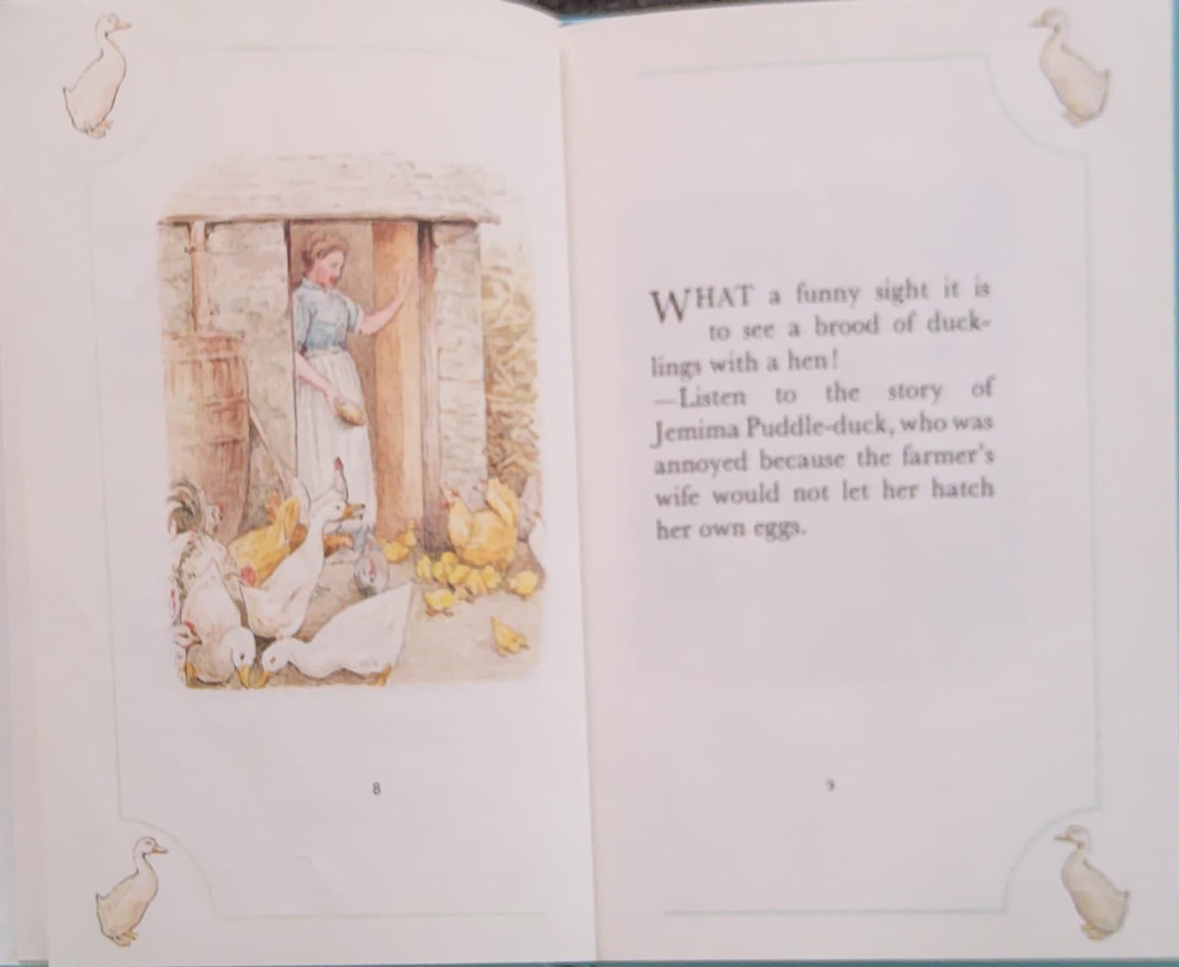 หนังสือนิทานปกแข็ง** ♥️TALE OF JEMIMA PUDDLE DUCK BY BRETRIX POTTER