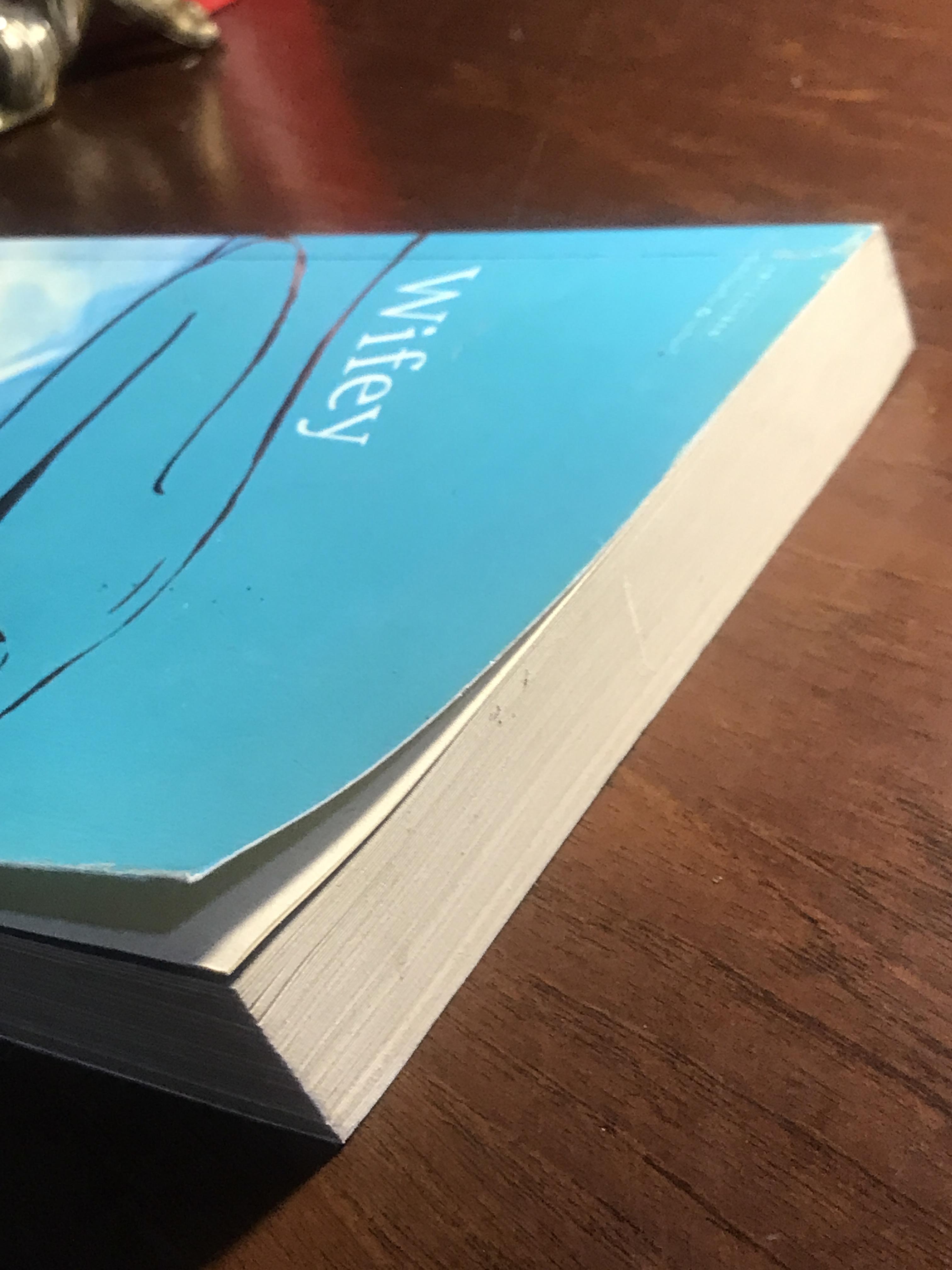 เมีย : Wifey ผู้เขียน จูดี บลูม Judy Blume ผู้แปล ชนาฉัตร แปล แพรวสำนักพิมพ์ ：H11