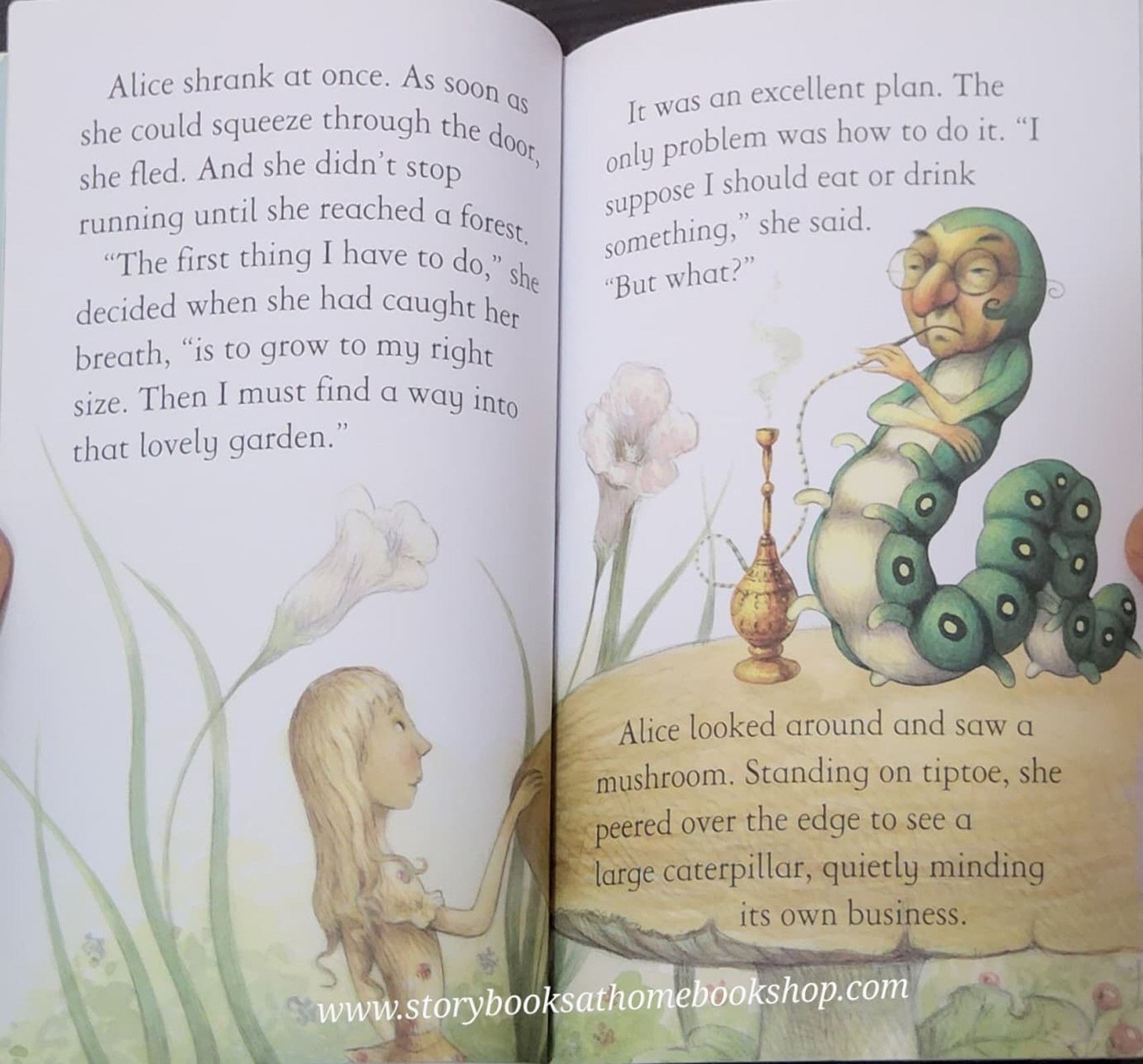 หนังสือนิทานปกอ่อน** 🍅🍓USBORNE YOUNG READING: ALICE IN WONDERLAND