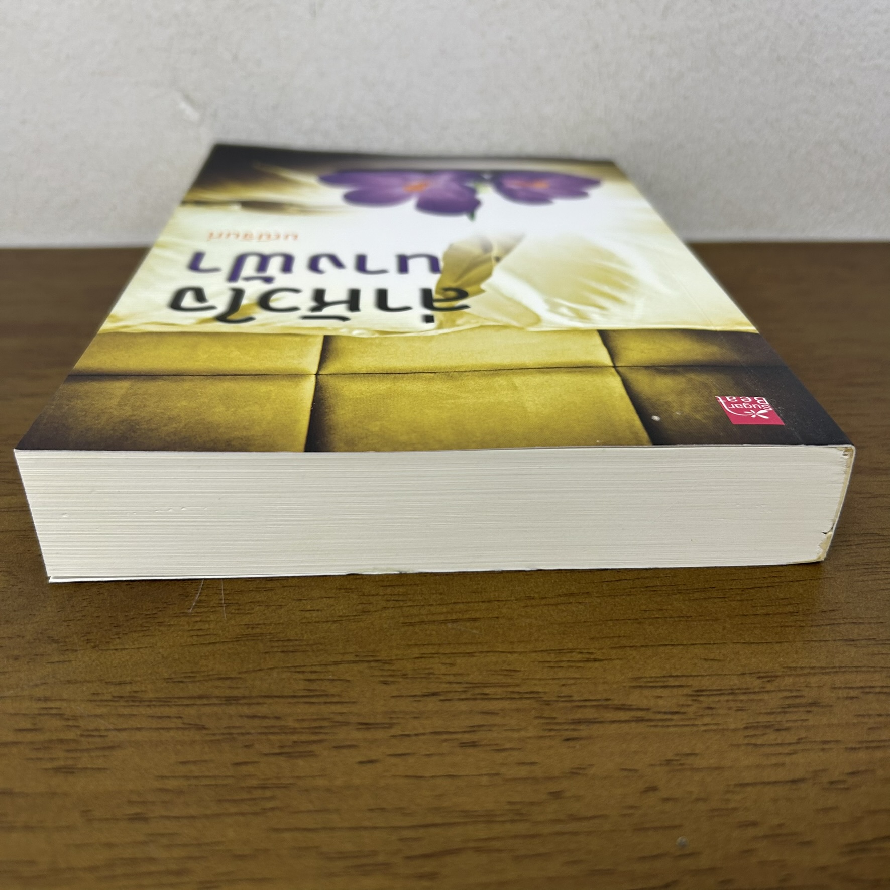 ล่าหัวใจนางฟ้า ... มณีจันท์ (มือสอง) นิยาย โรแมนติก ชูการ์บีท สถาพร