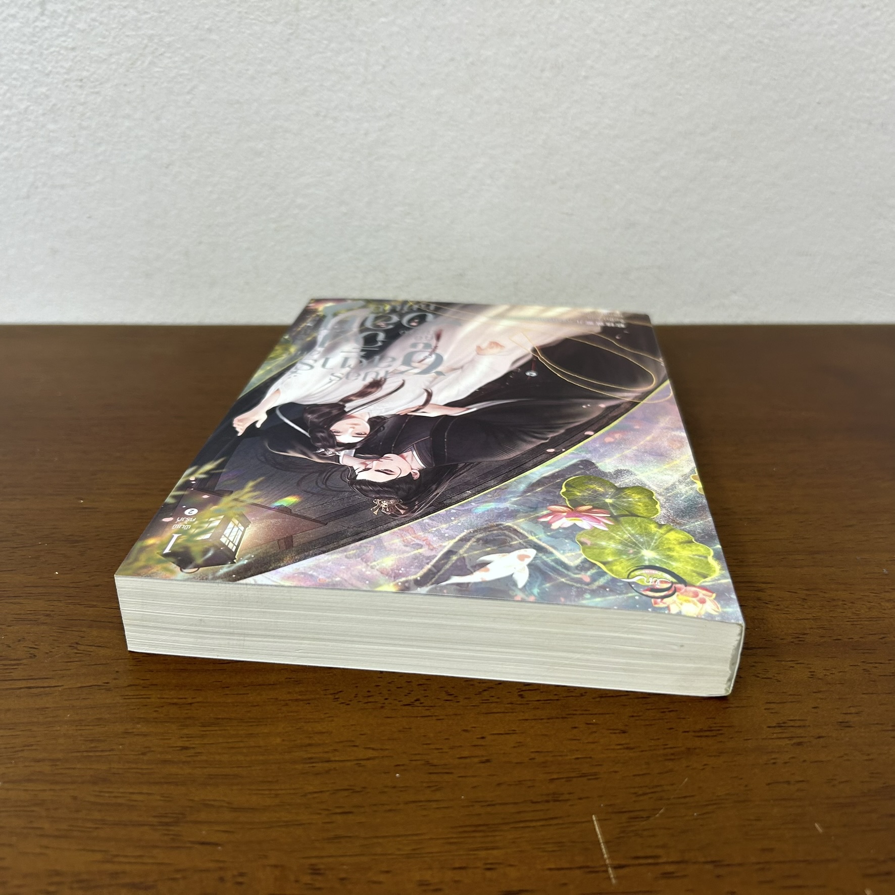 [YAOI] ซูเปอร์สตาร์ผู้นั้นคือปีศาจจิ้งจอกหมื่นปี เล่ม 1 ... หร่วนจือหวงอิงเออร์ (มือสอง) นิยายวาย