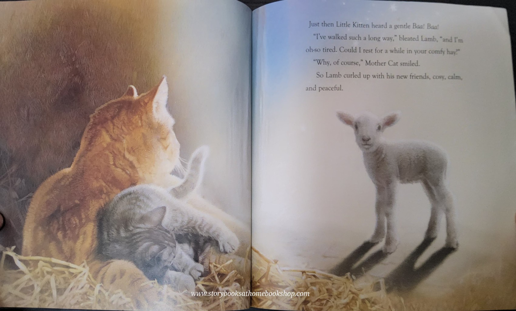 หนังสือนิทานปกอ่อน** 🍅🍓ON THIS SPECIAL NIGHT