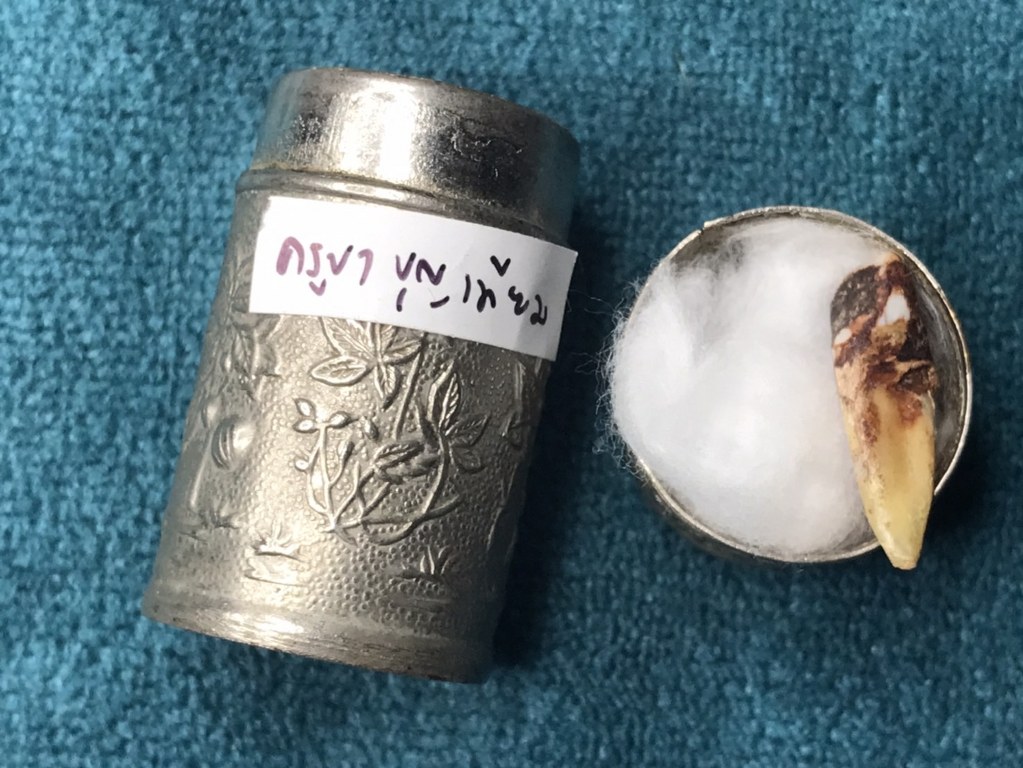 พระทันตธาตุ ครูบาบุญเทียม หรือพระมหาบุญเทียม วัดปงหาศาล จ.ลำปาง ได้มาจากดาบเจริญ หรือ ร.ต.ต.เจริญ อายุ 74 ปี (บันทึก พ.ศ.2567) ดาบเจริญ เคยเป็นตำรวจในเมืองลำปาง ท่านเป็นลูกศิษย์ครูบาบุญเทียม เคยรับใช้ รับส่งเดินทางของครูบา ดาบเจริญได้มาเมื่อปี 2546