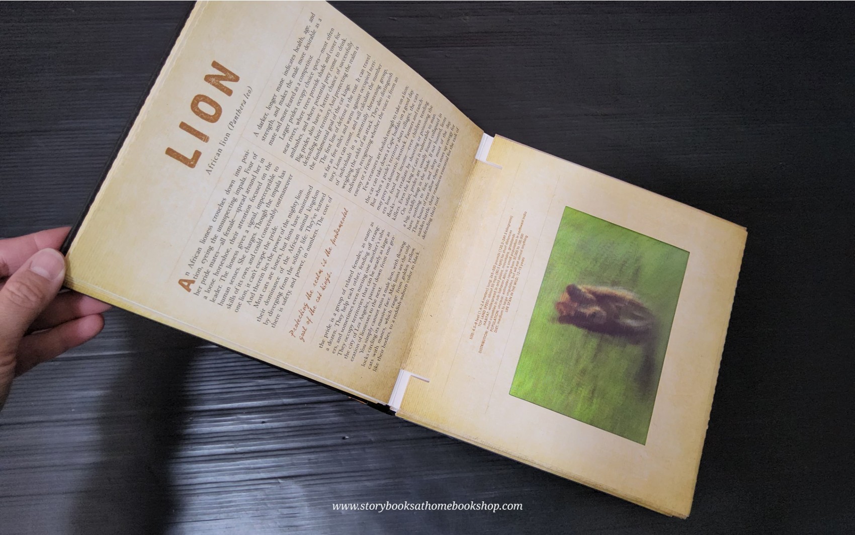 PHOTICULAR BOOK** 🍅SAFARI