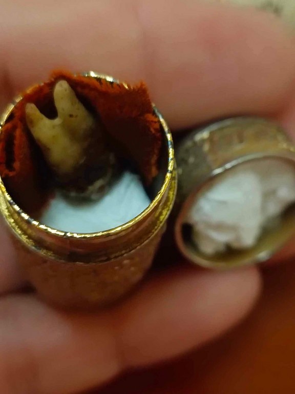 พระทันตธาตุครูบาแสง วัดร่องช้าง จ.ลำพูน ได้มาจากลุงประสิทธิ์ อดีตนายอำเภอ เวียงหนองล่อง อายุ 74 ปี เล่าว่าได้มา เมื่อสมัยที่ท่านเป็นปลัดอำเภอ อ.ป่าซาง เมื่อปี 2532 ได้จากผู้ช่วยผู้ใหญ่บ้านใน อ.ป่าซาง ซื่อว่าวิโรจน์ซึ่งมีศักดิ์เป็นหลานครูบาแสง