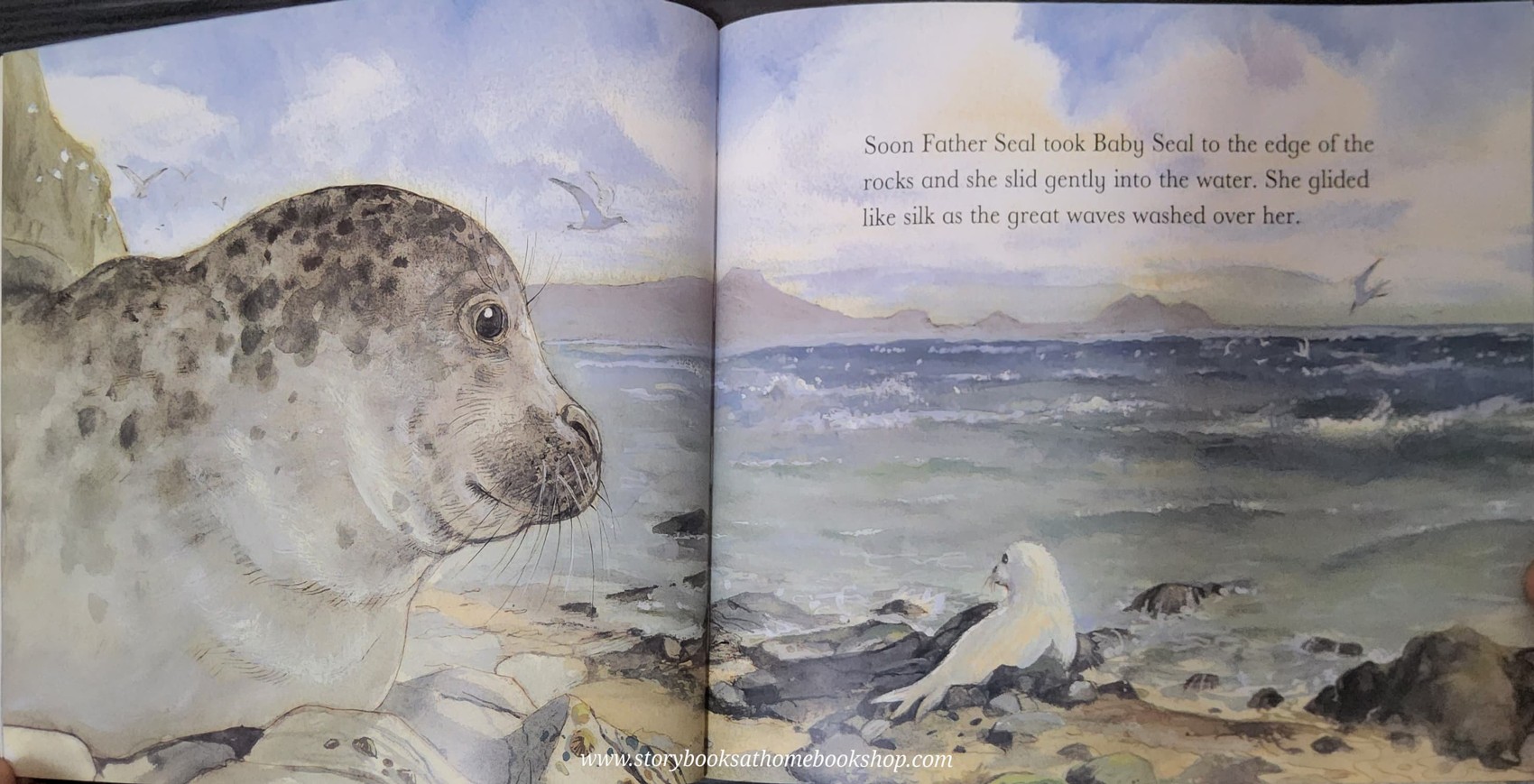 หนังสือนิทานปกอ่อน** 🍅BABY SEAL ALL ALONE