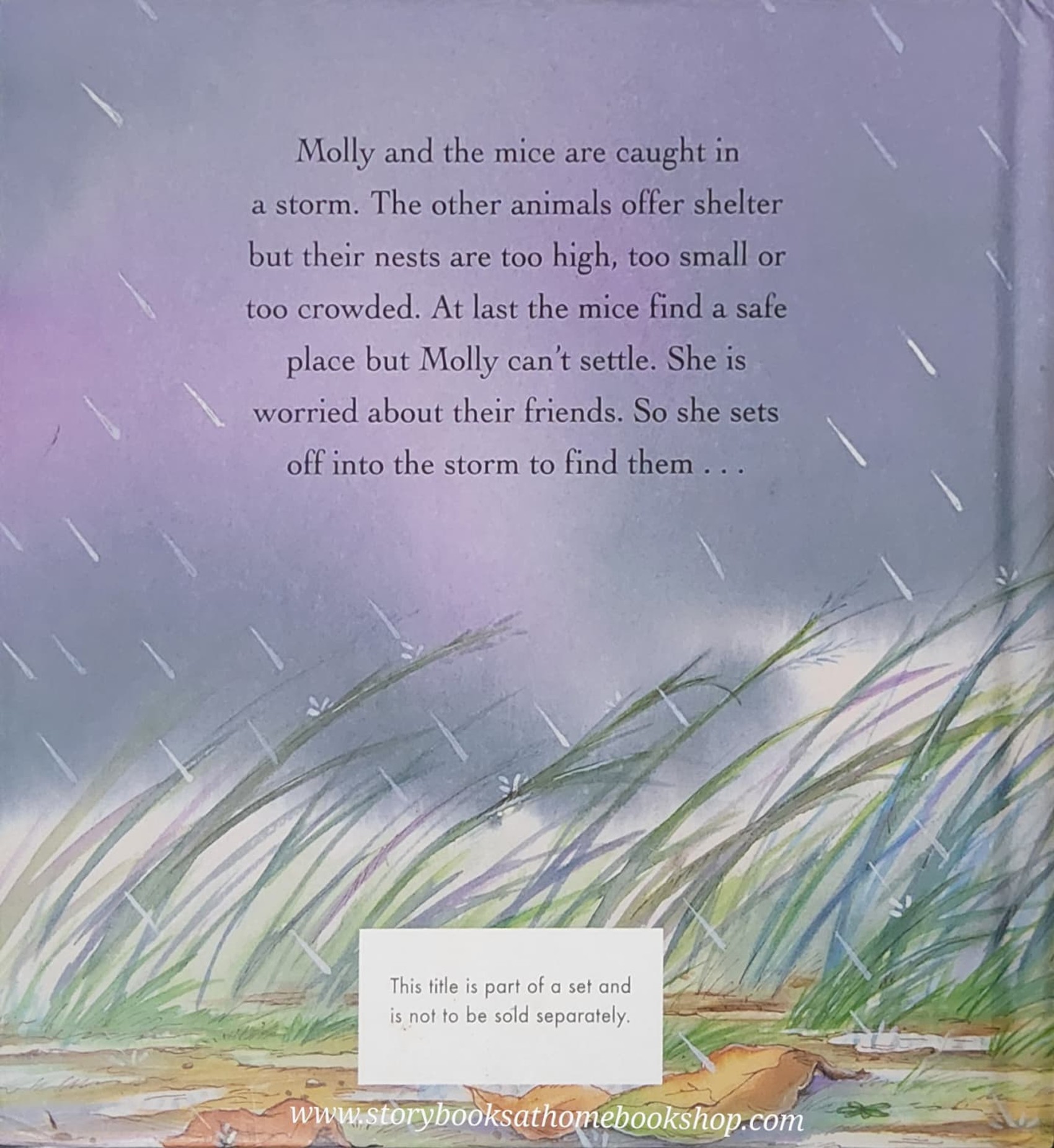 หนังสือนิทานปกแข็ง** 🍅🍓MOLLY AND THE STORM BY CHRISTINA LEESON AND GABY HANSEN