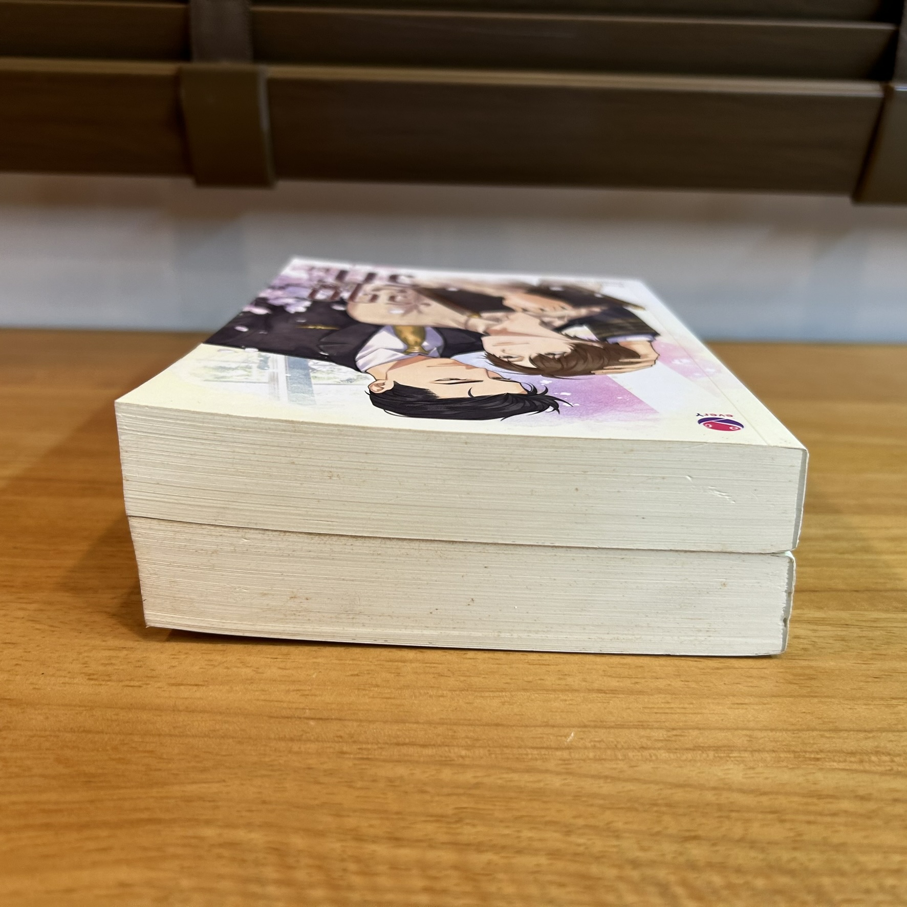 [YAOI] รฤกรัก เล่ม 1-2 จบ ... ตั่วเจ้เจค (มือสอง) นิยายวาย everY