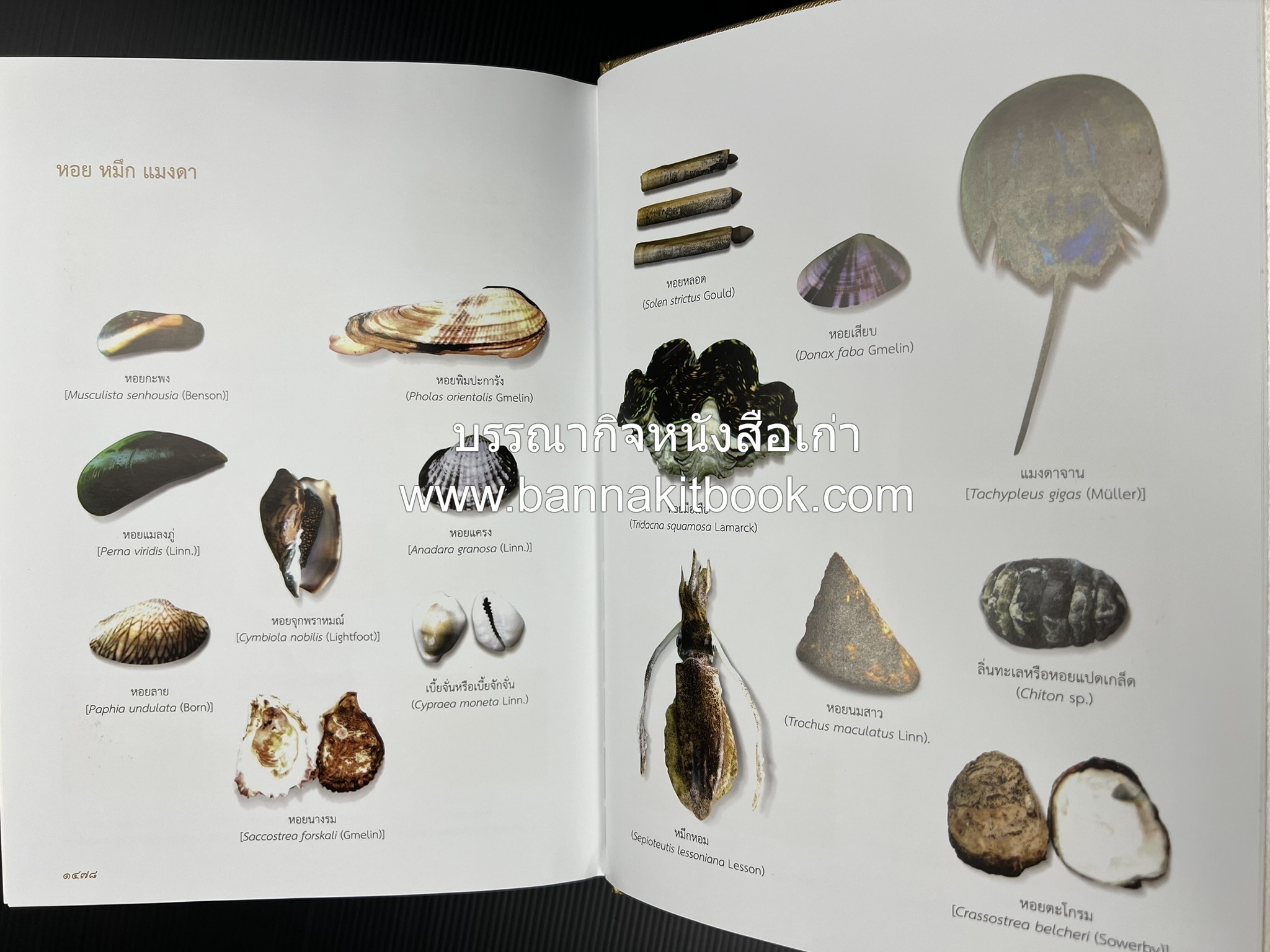 พจนานุกรม ฉบับราชบัณฑิตยสถาน พ.ศ. 2554 โดย : ราชบัณฑิตยสถาน.