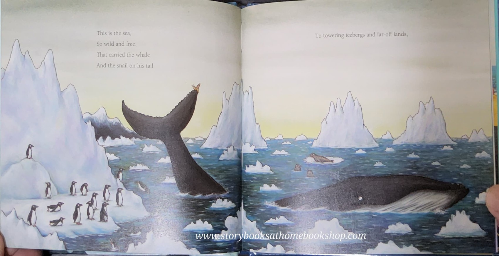 หนังสือนิทานปกแข็ง** 🍅🍓THE SNAIL AND THE WHALE BY JULIA DONALDSON.AXEL SCHEFFLER