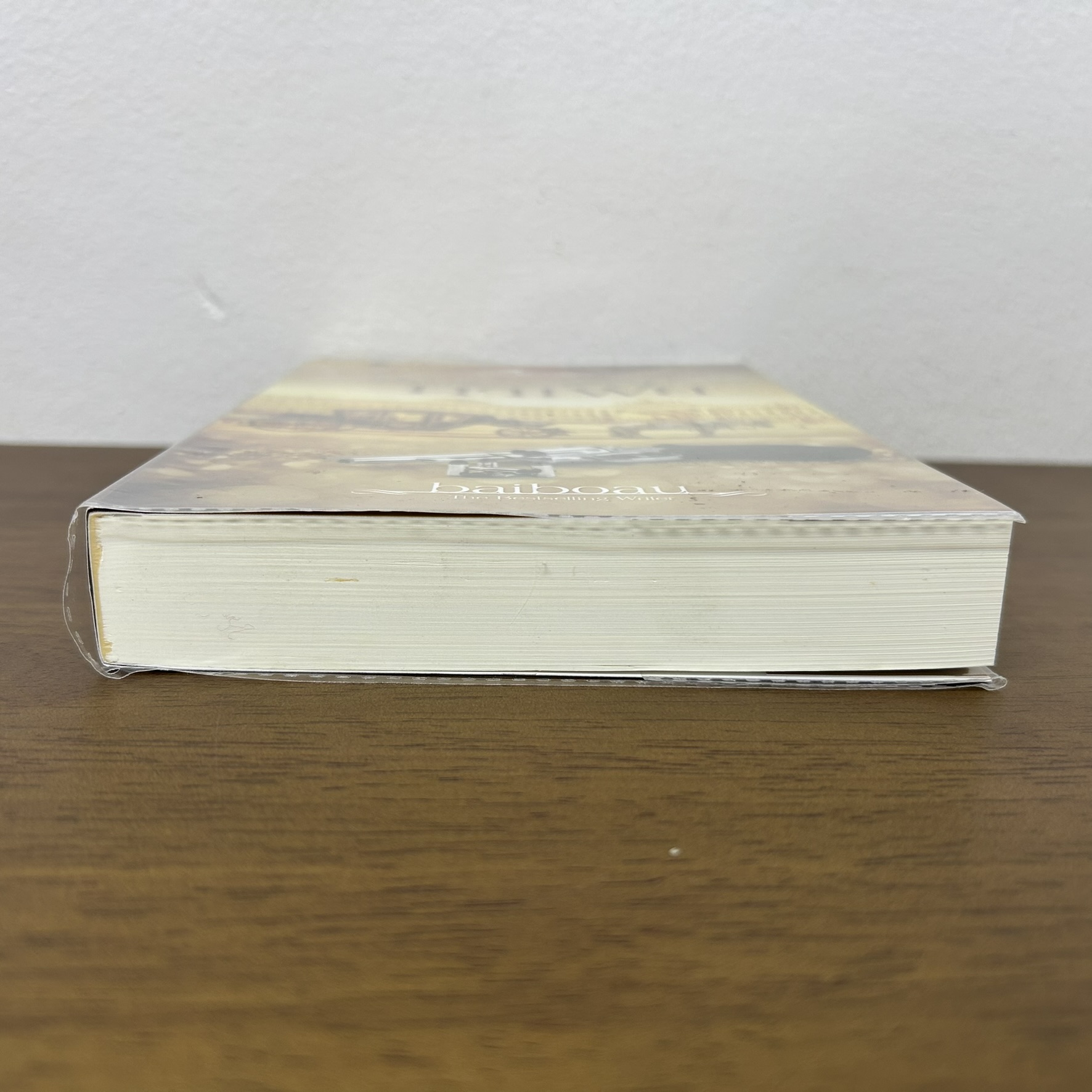 เมียเก็บมาเฟีย ... baiboau (มือสอง) นิยาย โรมานซ์