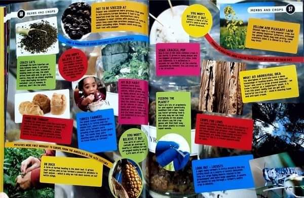 Knowledge Book หนังสือความรู้ 🍅🍓KNOW IT ALL