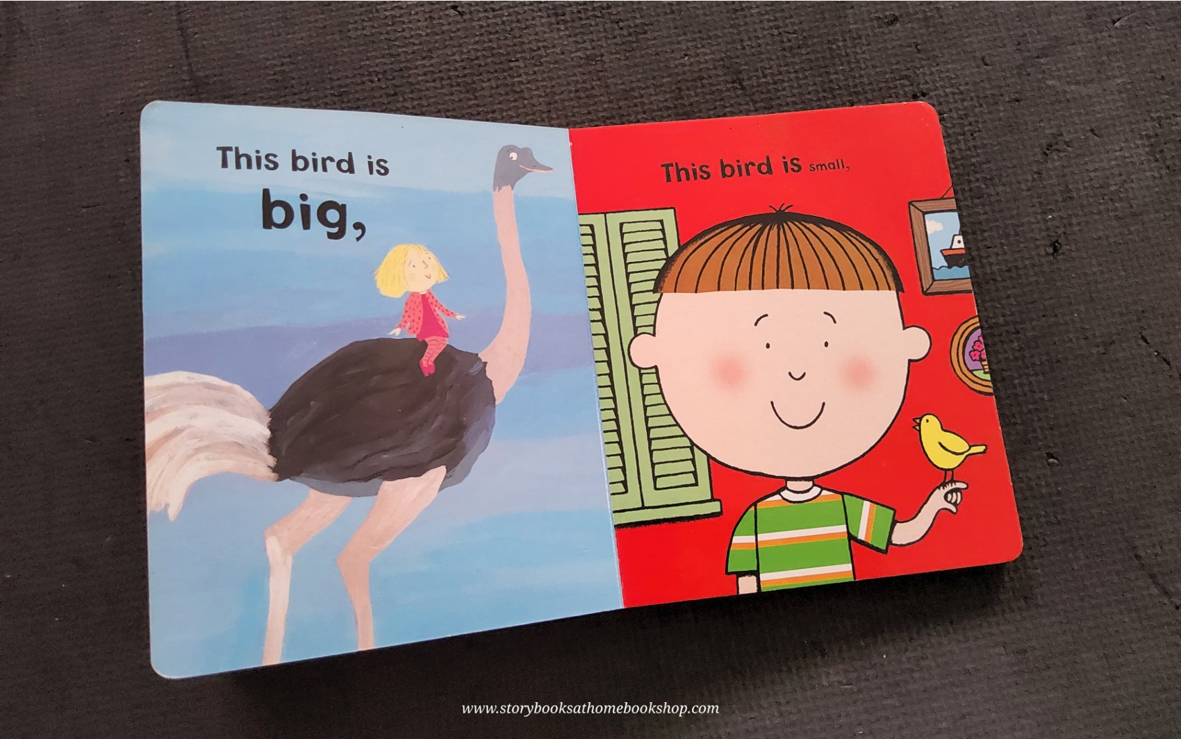 Board Book** 🍅🍓Faster,Faster! Nice and Slow by Nick Sharratt and Sue Heap