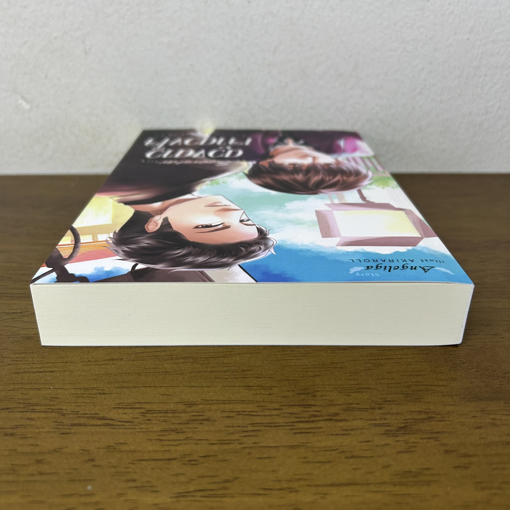 [YAOI] ดวงดาวเจ้าดวงใจ ... Angeliga (มือสอง) นิยายวาย วายไทย