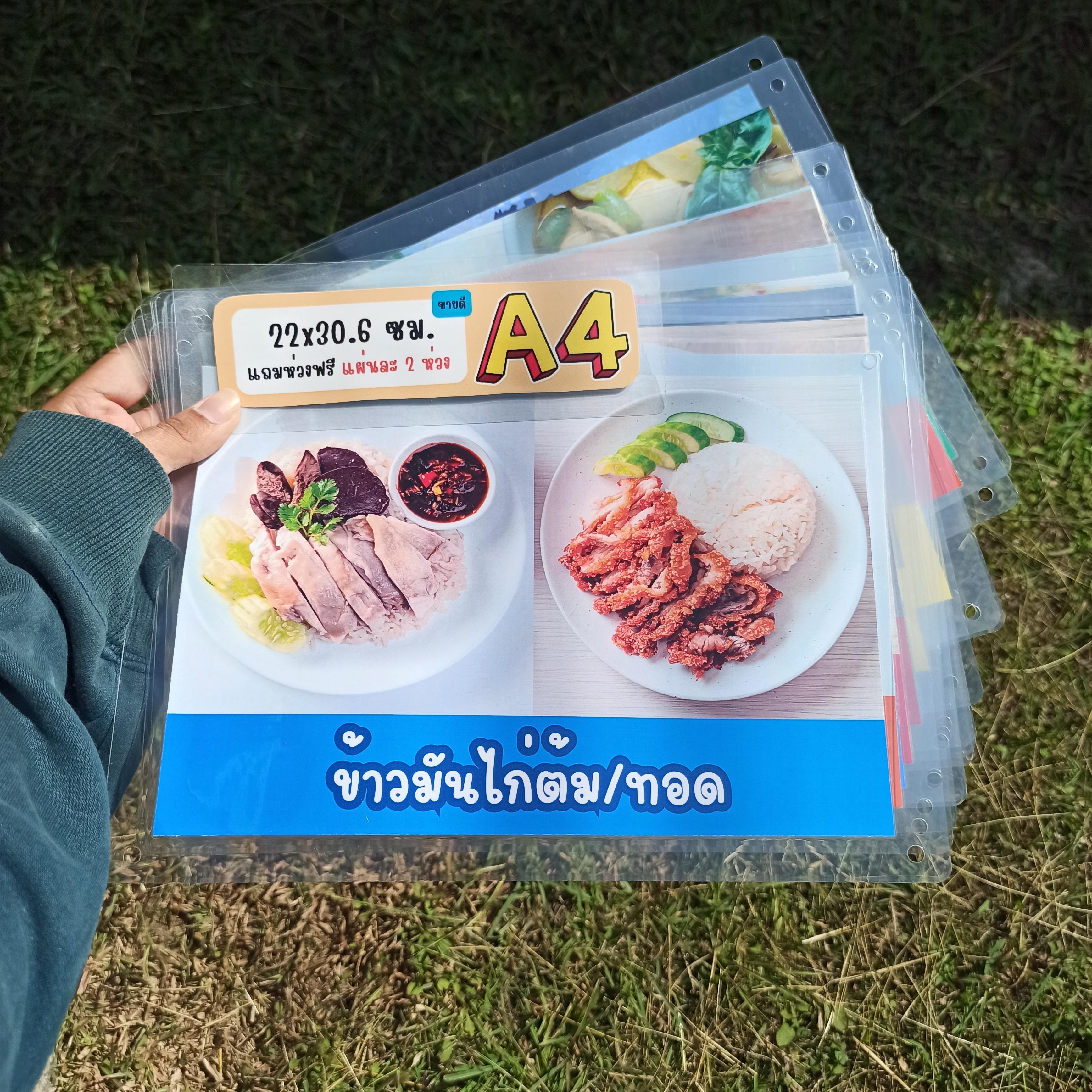 ชุดป้ายเมนู A4 อาหารจานเดียว 13 แผ่น | ข้าวมันไก่ต้ม/ทอด, ข้าวหมกไก่ต้ม/ทอด, ข้าวไก่ย่าง, ข้าวคลุกกะปิ, ข้าวกะเพราทะเล | เพิ่มยอดขายร้านของคุณทันที! | รหัส 4081