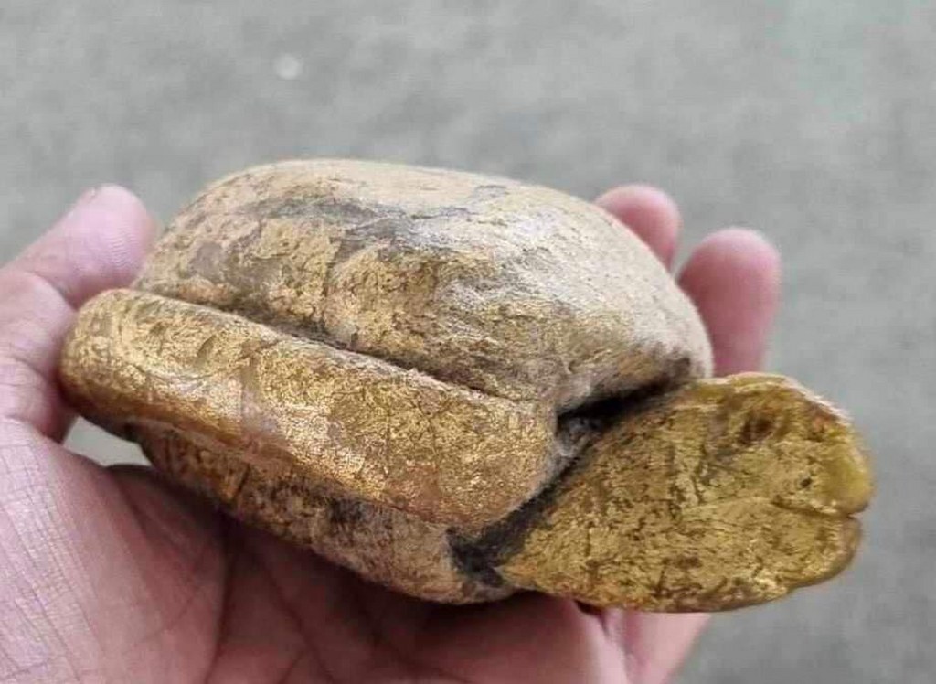 เต่าสำลีี ชุบเทียน ปิดทอง ขนาดบูชา ครูบาชัยยะวงศา วัดพระพุทธบาทห้วยต้ม เจ้าของเดิมชื่ออ้ายชัย อายุ 45 ปี อยู่ อ.บ้านโฮ่ง จ.ลำพูน เคยบวชเป็นพระวัดพระพุทธบาท ห้วยต้มเมื่อปี 2545-2550 อ้ายชัยเล่าว่าท่านได้เช่าต่อจากกะเหรี่ยงลูกศิษย์ครูบาวงศ์