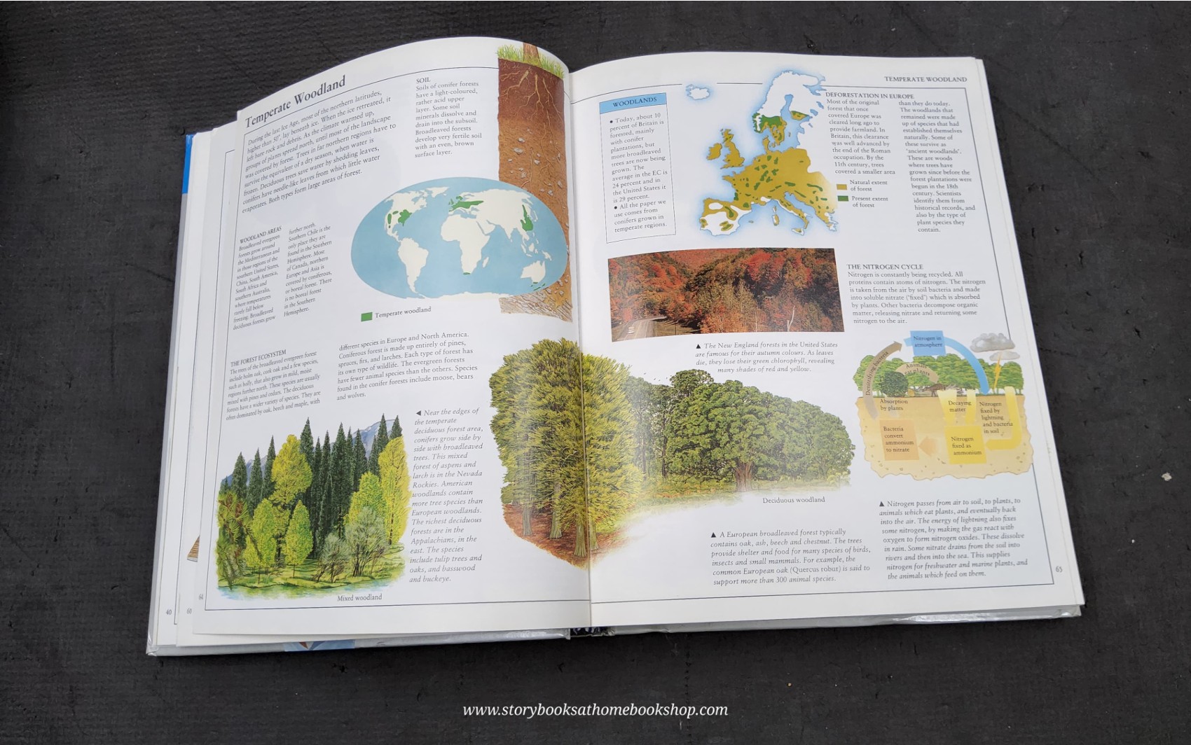 KNOWLEDGE BOOK ** 🍅🍓 VISUAL ENCYCLOPEDIA OF SCIENCE