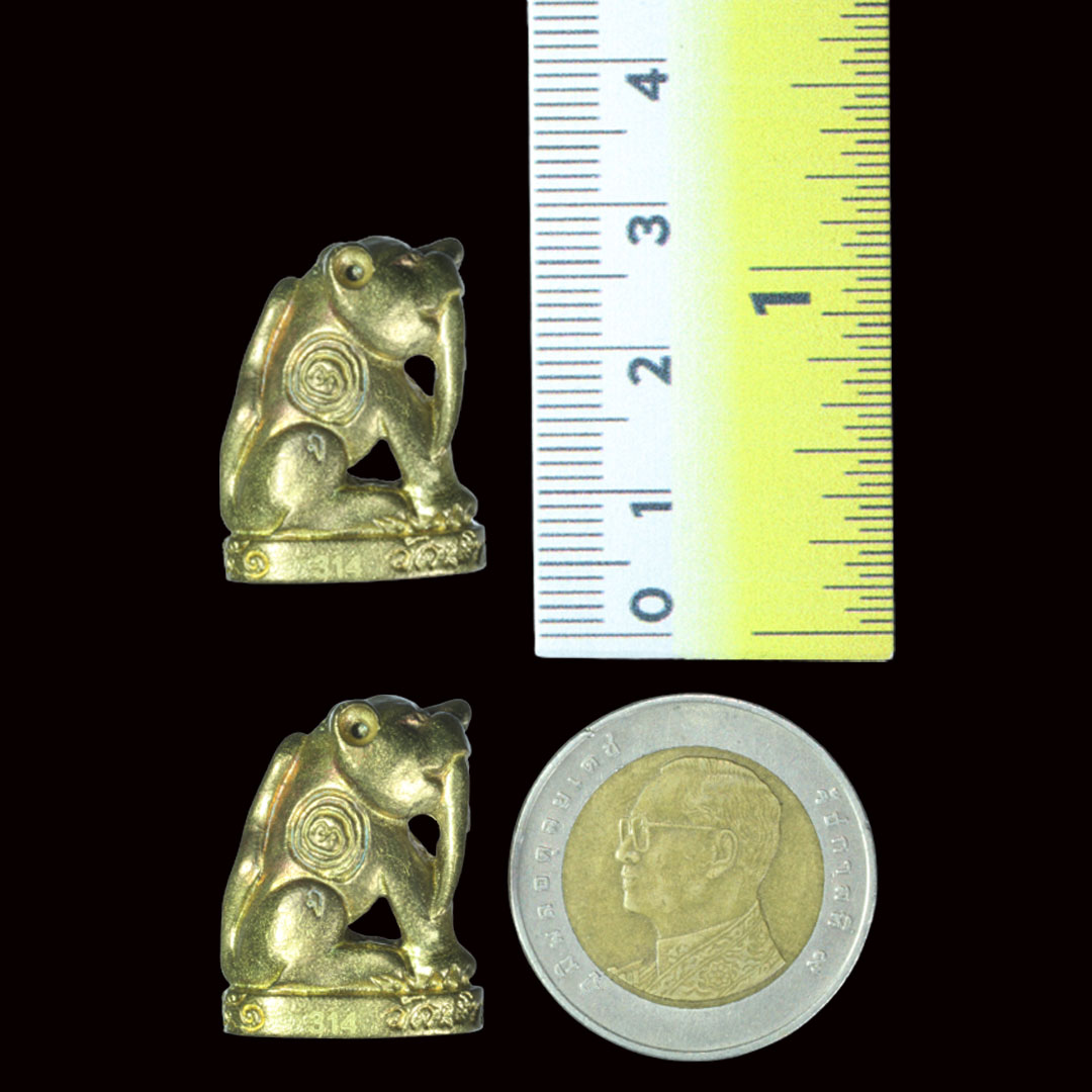 เสือเขี้ยวดาบ หลวงพ่อสมชาย วัดปริวาส ปี51 เนื้อสำริดเหลือง (พิมพ์ใหญ่)