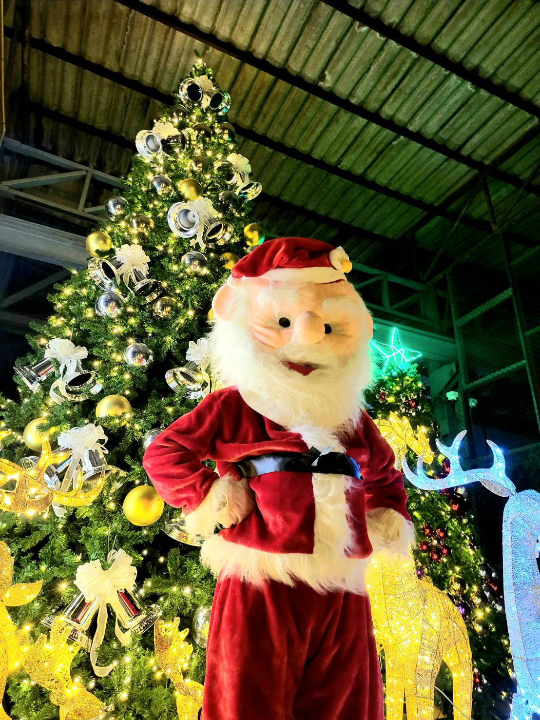 ต้นคริสต์มาสปลอมขนาดใหญ่ 6เมตร พร้อมของตกแต่ง