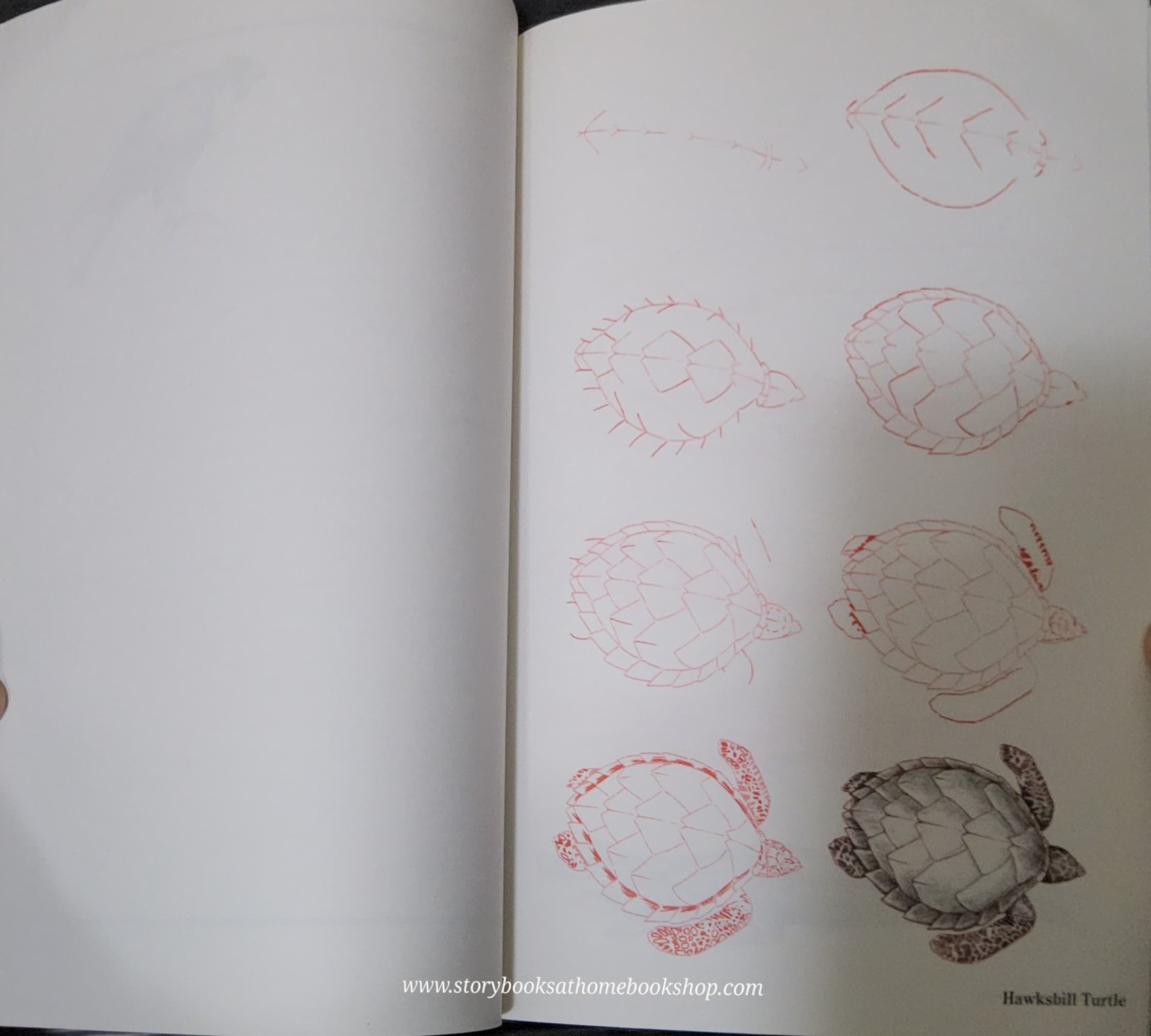 Knowledge Book** ð
ðDRAW 50 ENDANGERED ANIMALS