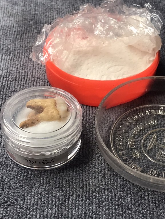 พระทันคธาตุุครูบาจักร วัดทุ่งโป่ง อ.บ้านโฮ่ง จ.ลำพูน ได้มาจากพ่อหลวงนิด หรือผู้ใหญ่บ้านบ้านเหล่ายาว อ.บ้านโฮ่ง จ.ลำพูน ปัจจุบันอายุ 58 ปี (บันทึก พ.ศ.2567) ท่านได้รับสืบต่อมาจากพ่อของท่่านชื่อพ่ออุ้นหนานปัน หากมีชีวิตอยู่จนปัจจุบันจะมีอายุ 95 ปี