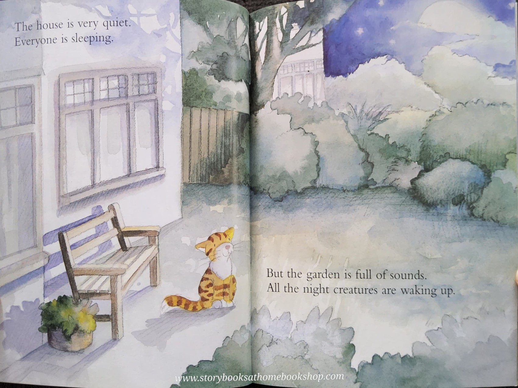 หนังสือนิทานปกอ่อน** ♥️♥️TOFFEE'S NIGHT NOISES BY SALLY CHAMBERS