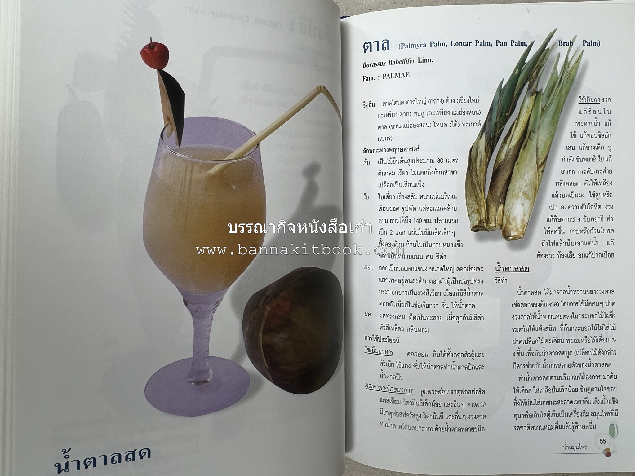 น้ำสมุนไพร 108 สูตร-วิธีทำจากผักพื้นบ้านและผลไม้ไทย โดย สถาบันการแพทย์แผนไทย.