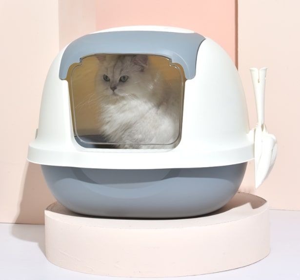 Cat Litter Box ห้องน้ำแมว กระบะทรายแมว 41x52x43cm