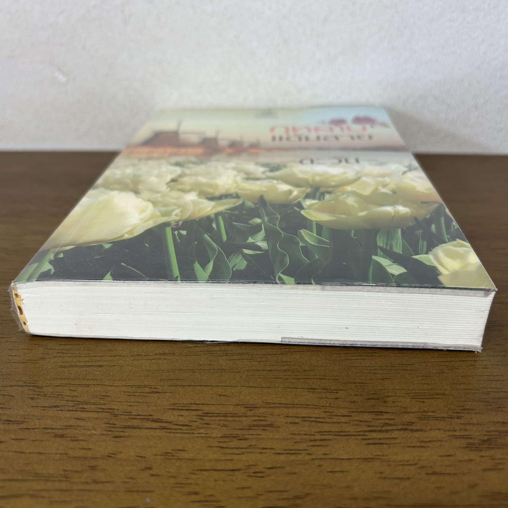 กุหลาบแต้มลาย ... ตะวัน (มือสอง) นิยาย โรมานซ์ พลอยวรรณกรรม