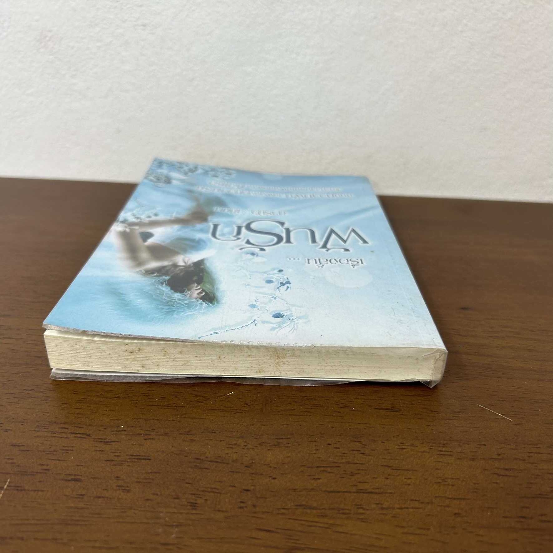 [YURI] รวม เรื่องสั้น ... ฝันรัก ... ลาร์มัว (มือสอง) นิยายรัก โรแมนติก ยููริ