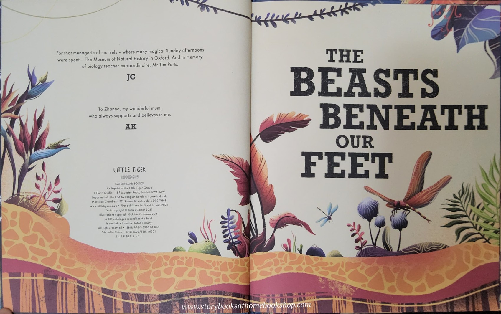 KNOWLEDGE BOOK** ♥️THE BEASTS BENEATH OUR FEET A PREHISTORIC POEM
