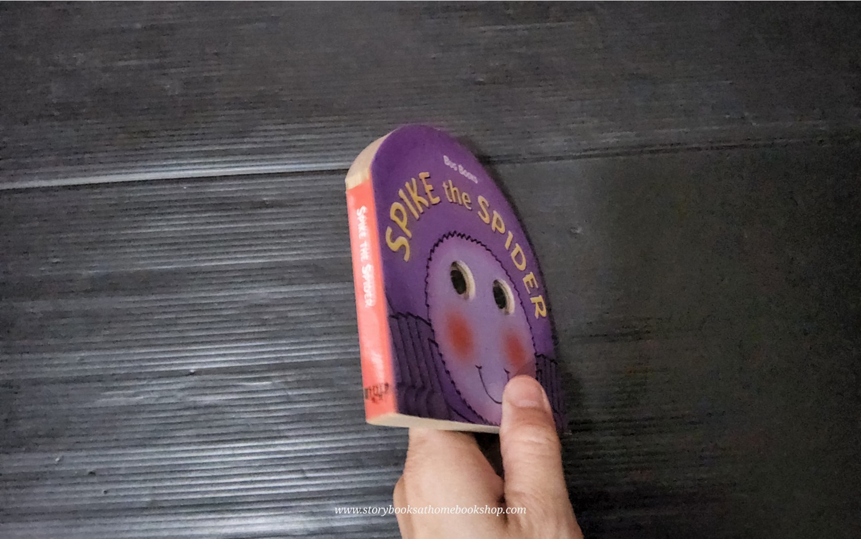 BOARD BOOK** 🍅🍓BUG BOOKS SPIKE THE SPIDER