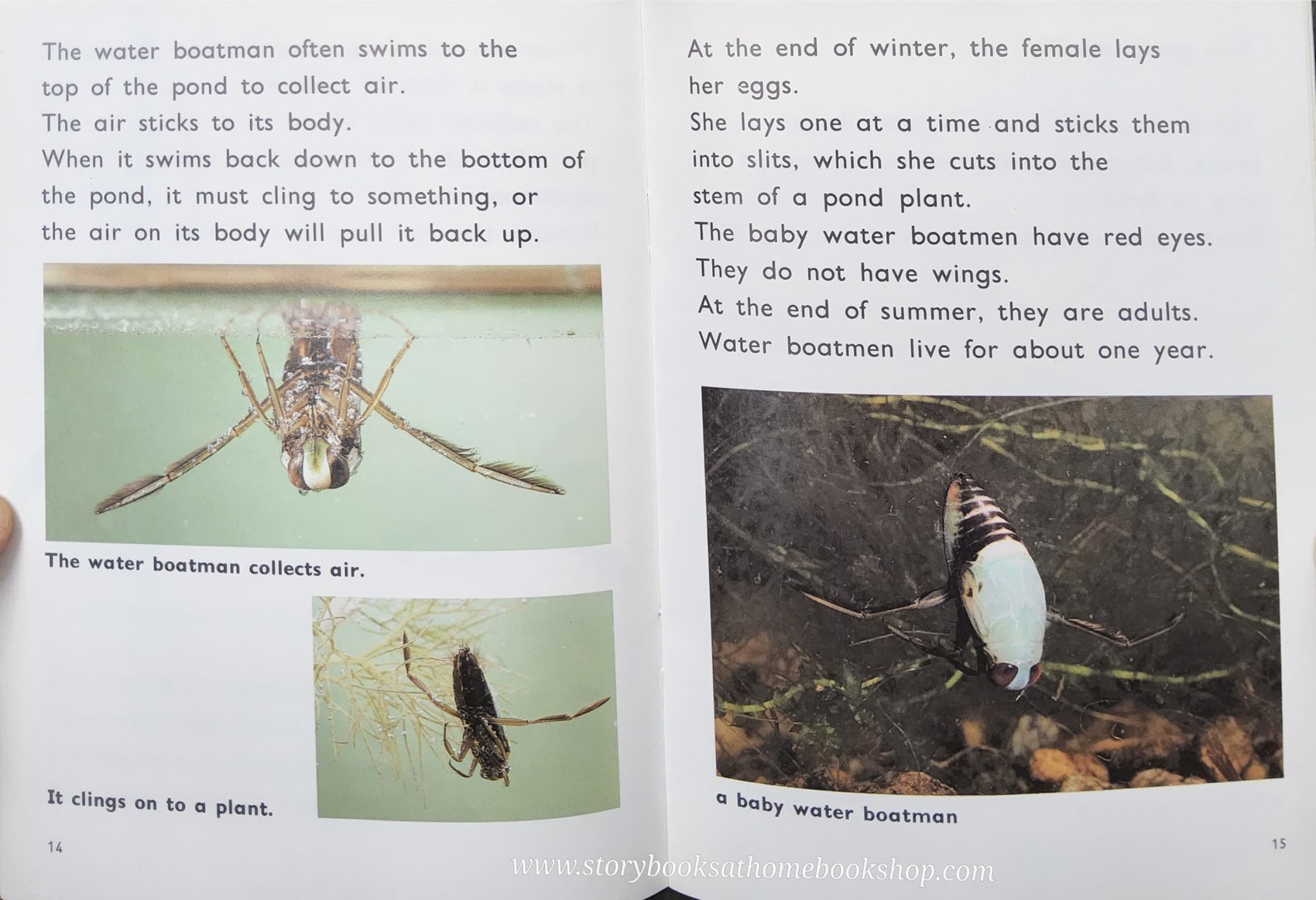 Knowledge Book** ð
ð
FUZZBUZZ FACTS: POND ANIMALS LEVEL2