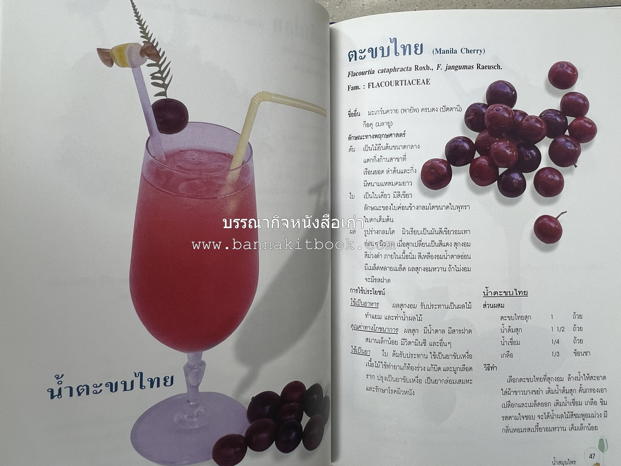 น้ำสมุนไพร 108 สูตร-วิธีทำจากผักพื้นบ้านและผลไม้ไทย โดย สถาบันการแพทย์แผนไทย.