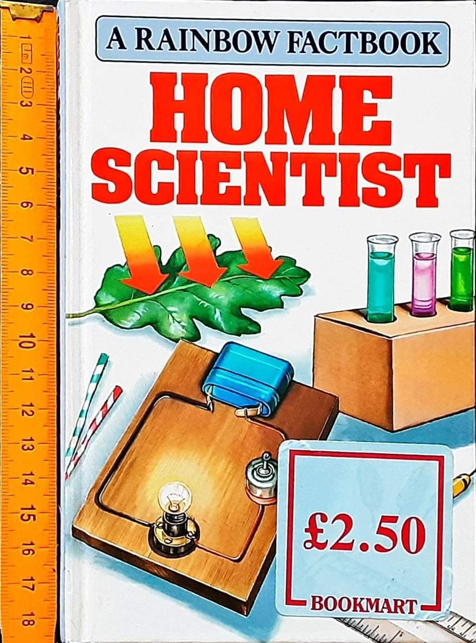 Knowledge Book** 🍅🍓A RAINBOW FACTBOOK HOME SCIENTIST