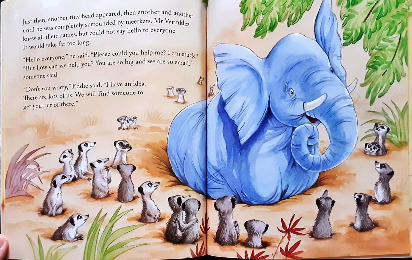 หนังสือนิทานปกอ่อน** 🍅🍓Mr Wrinkles